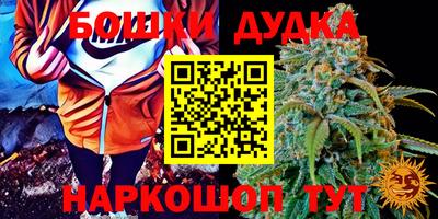 стаф Кулебаки