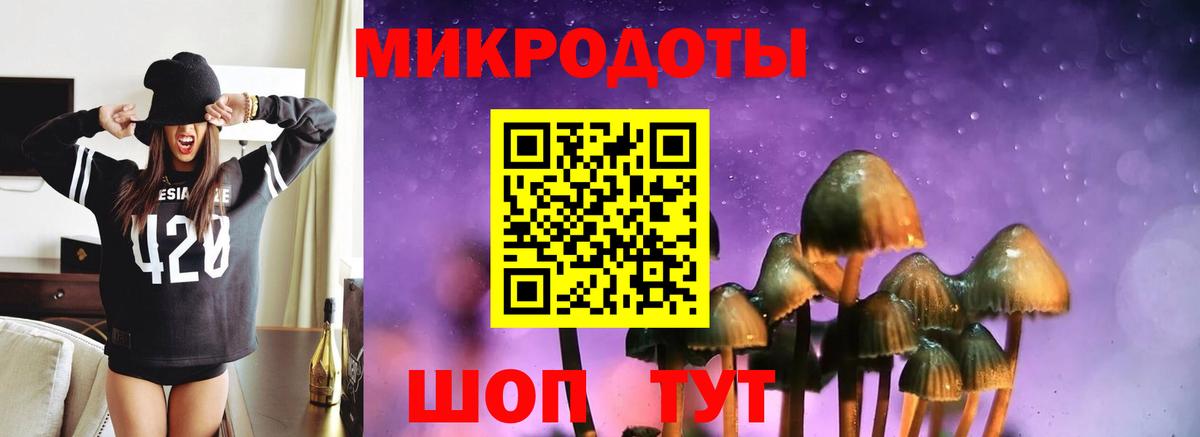 Качканар  Галлюциногенные грибы Cubensis  Вход с VPN 