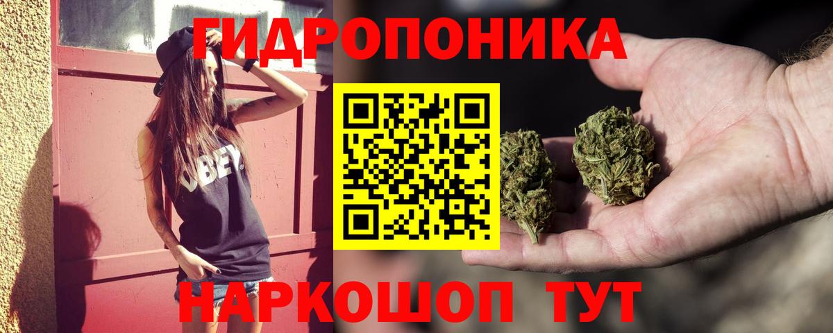 Бошки Шишки ГИДРОПОН  Каннабис семена  Качканар  Вход с VPN  Шишки марихуана марихуана  Марихуана Ganja 